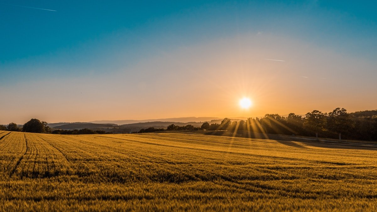Agrobusiness, immobilier, infrastructures : où créer de la valeur durable